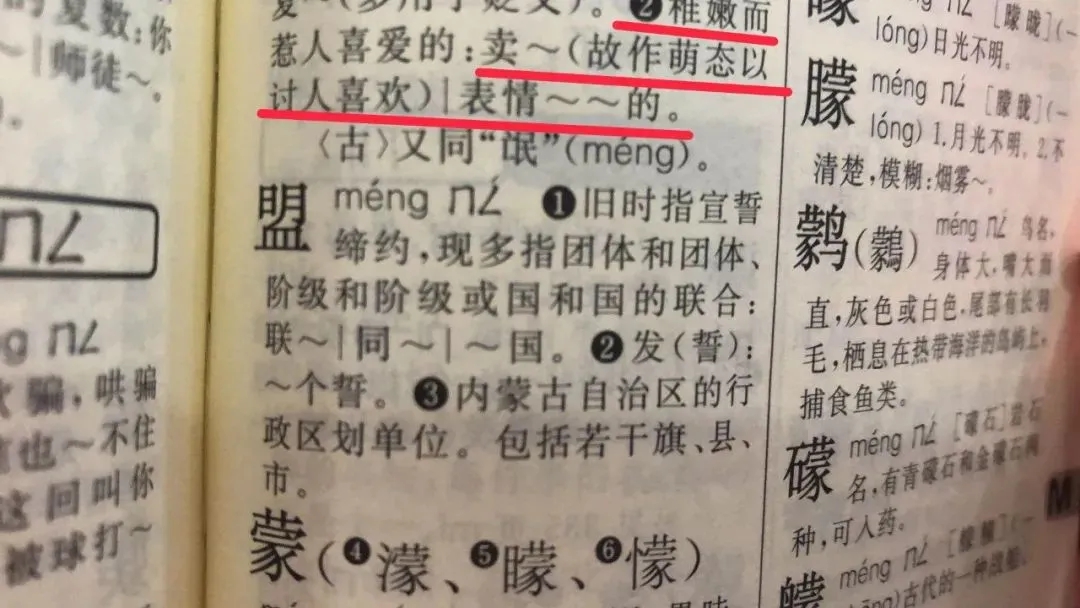 新华字典新义词