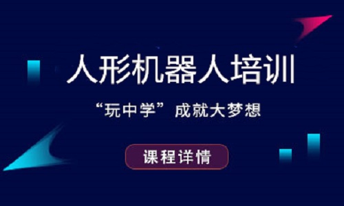 人形机器人课程